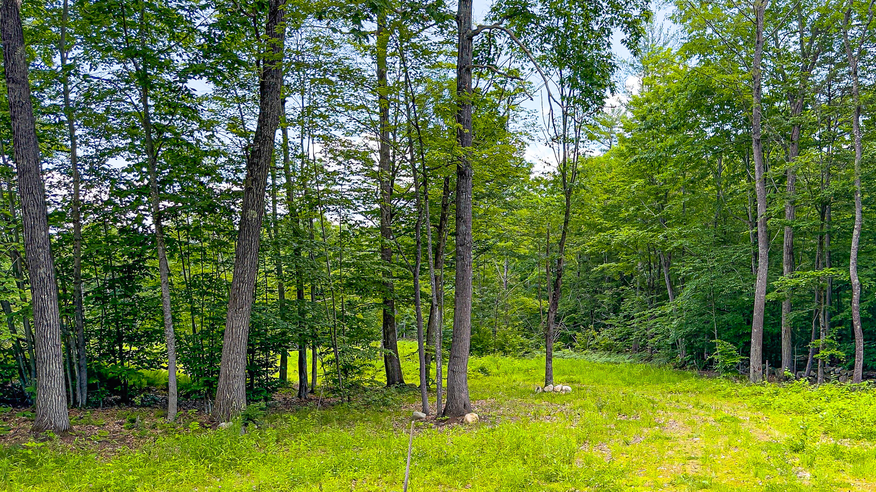 55 Del Chadbourne Road Bridgton, ME 04009 - Photo 7 of 38 55 Del Chadbourne Road-6