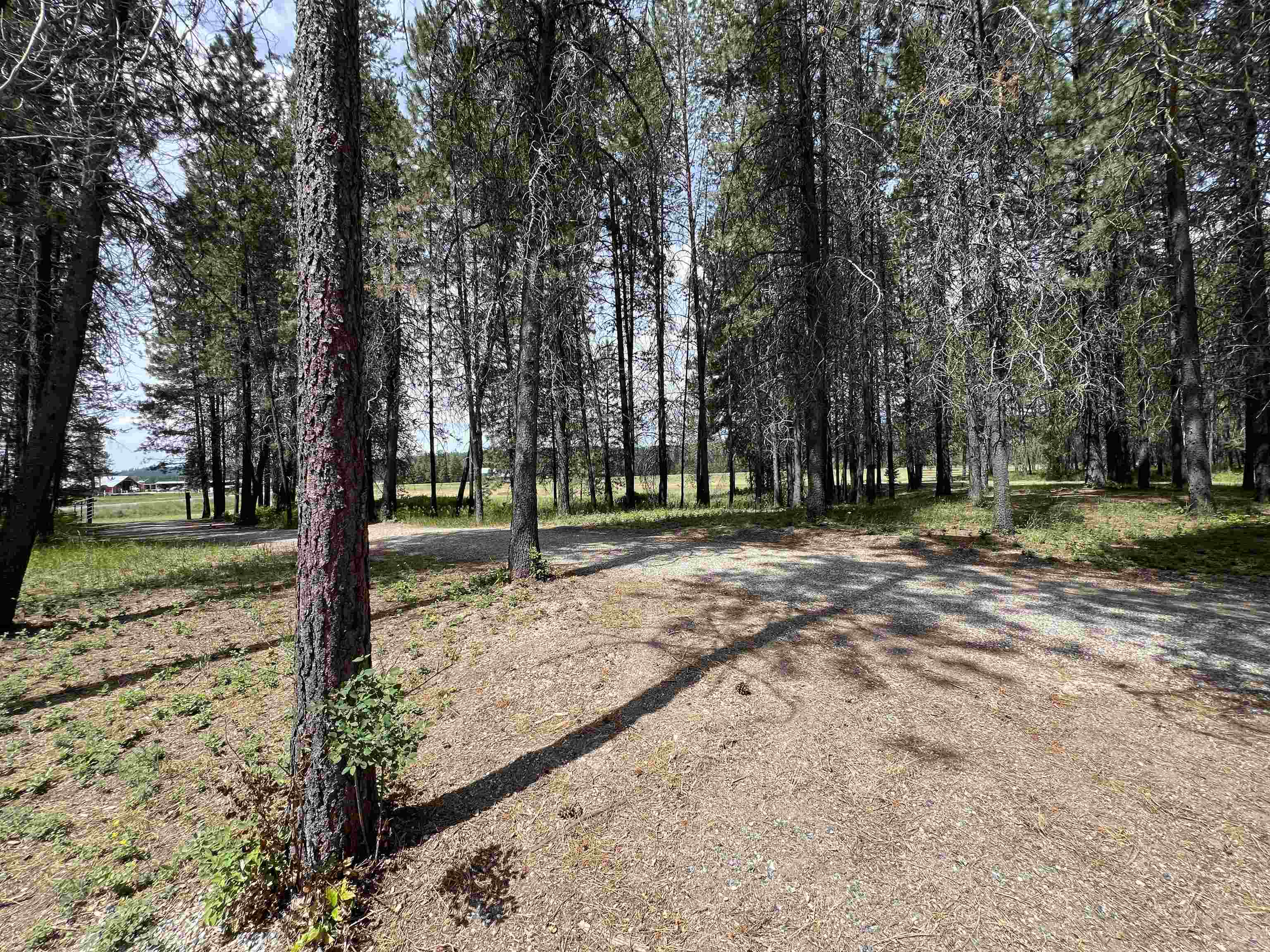 4430 D Springdale Hunters Road Springdale, WA 99173 - Photo 31 of 45