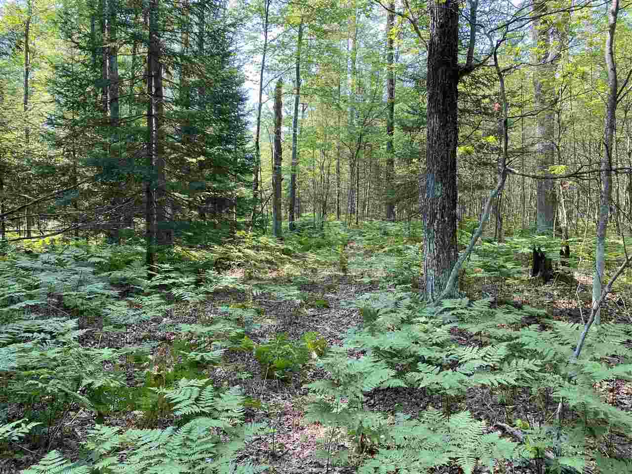 0 Briggs Road Omer, MI 48749 - Photo 14 of 45