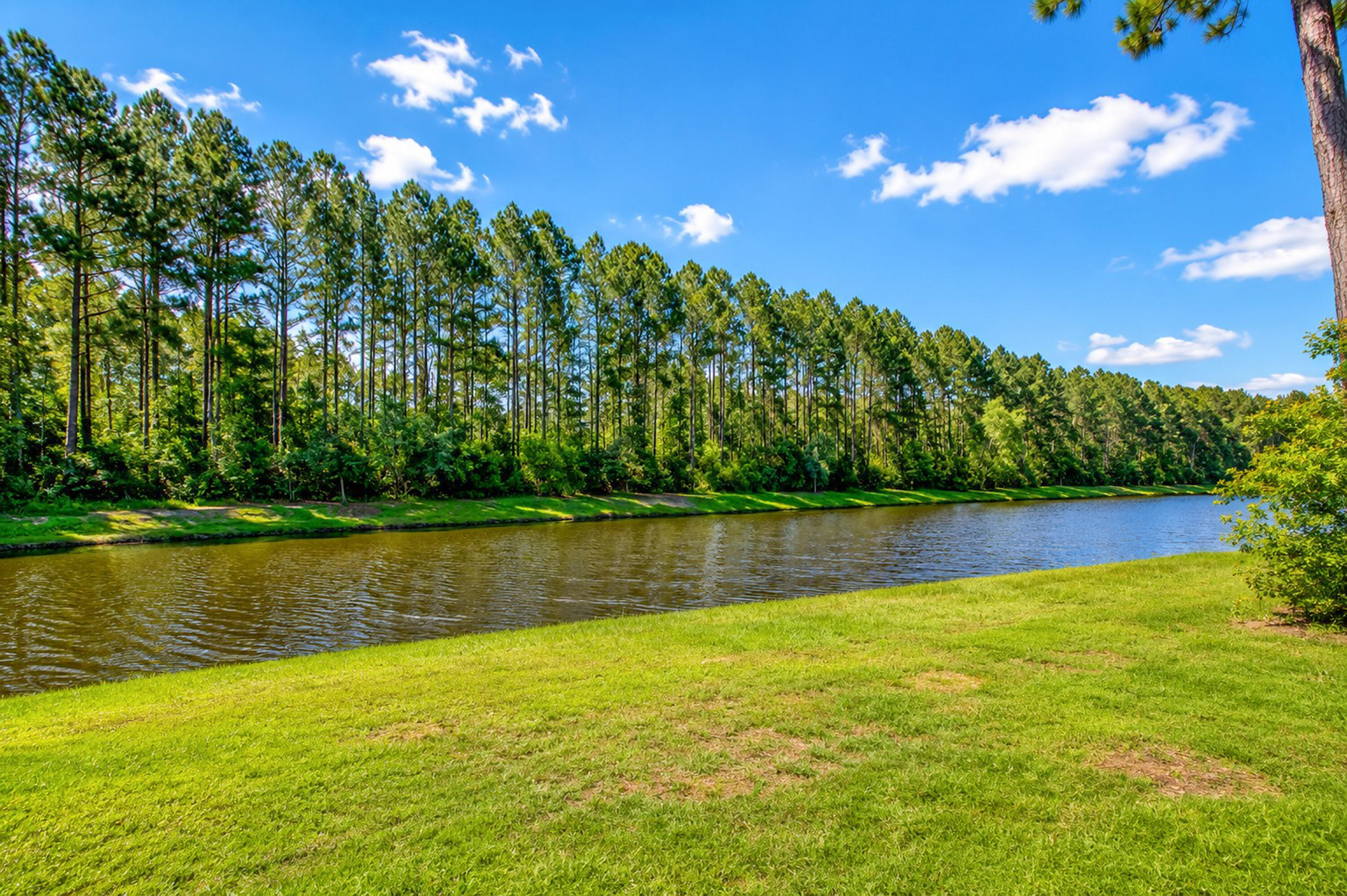 271 Decatur Drive Summerville, SC 29486 - Photo 54 of 61