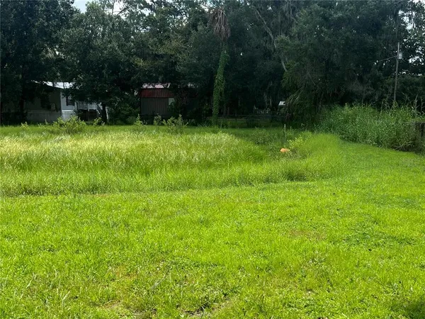 a view of swimming pool from a garden