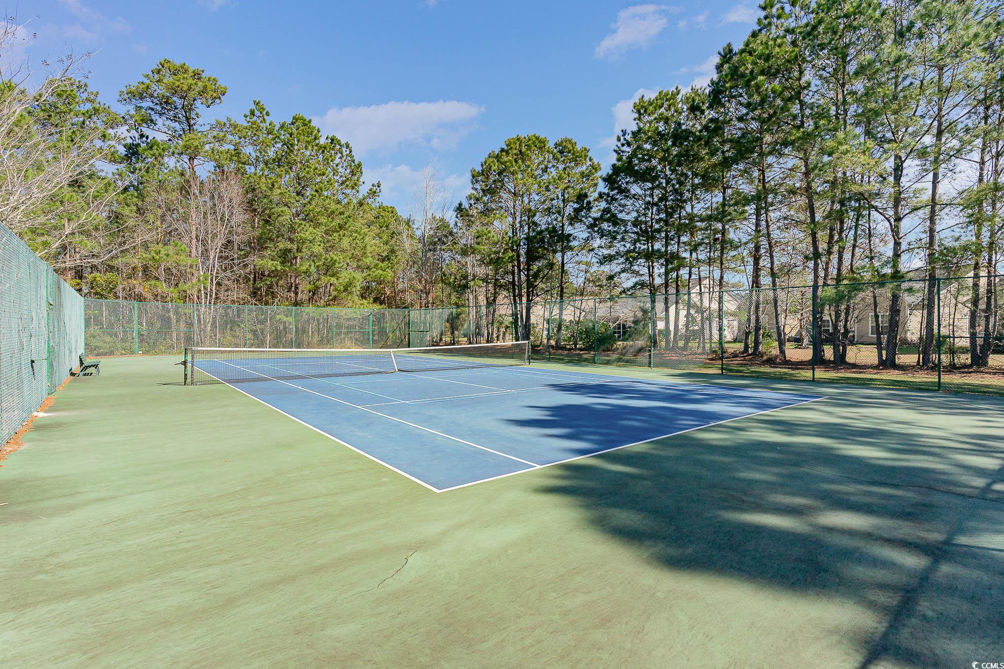 148 Winding River Drive Murrells Inlet, SC 29576 - Photo 36 of 37