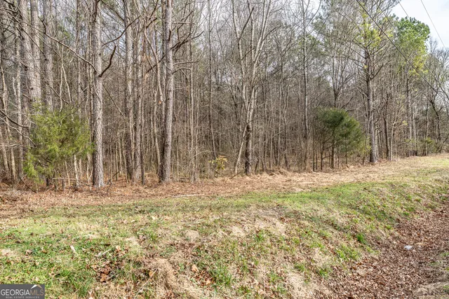 a view of yard with trees