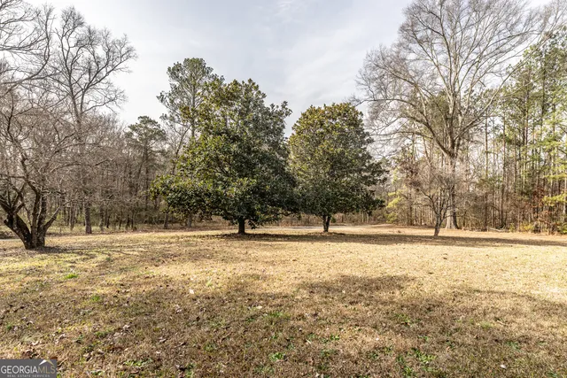 a view of a outdoor space with trees