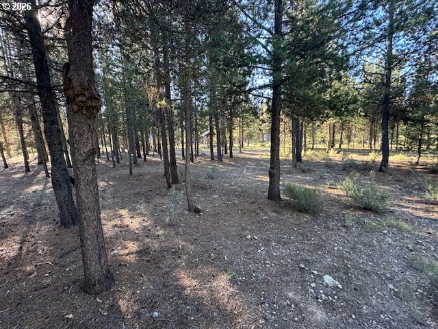 Bear Flat Road, Unit 100 Chemult, OR 97731 - Photo 12 of 22 Gallery Image 12