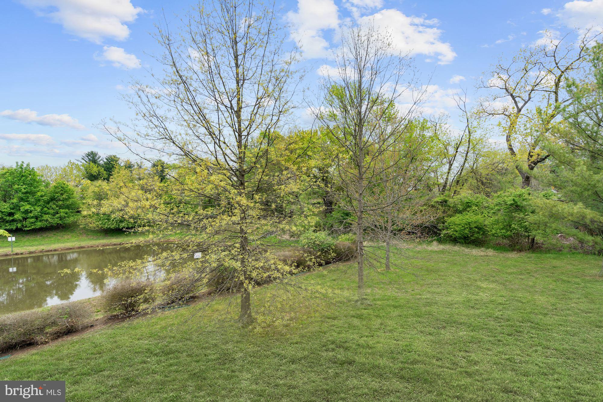 12226 Falls Road Potomac, MD 20854 - Photo 9 of 41 Gallery Image 9