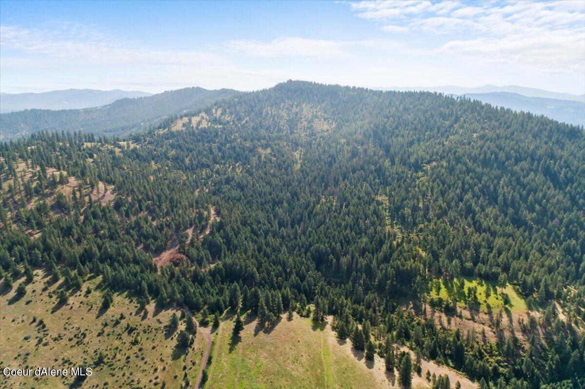 Nna East Alamo Road Harrison, ID 83833 - Photo 13 of 44 Property