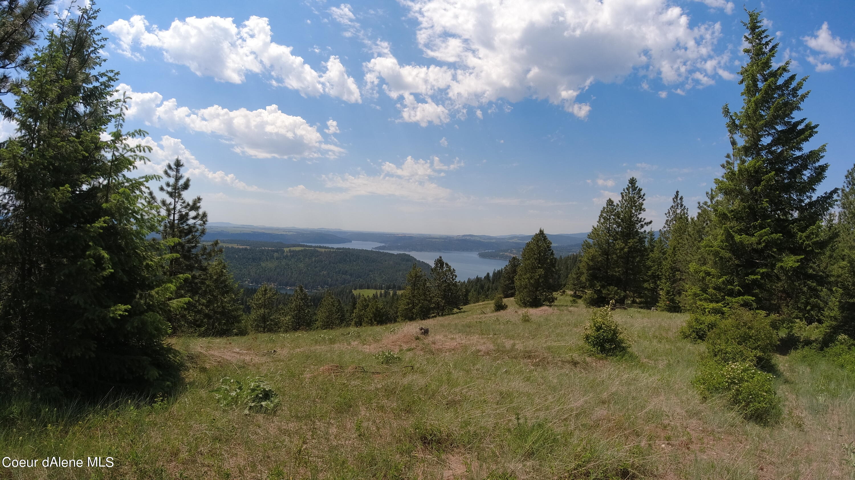 Nna East Alamo Road Harrison, ID 83833 - Photo 16 of 44 Land
