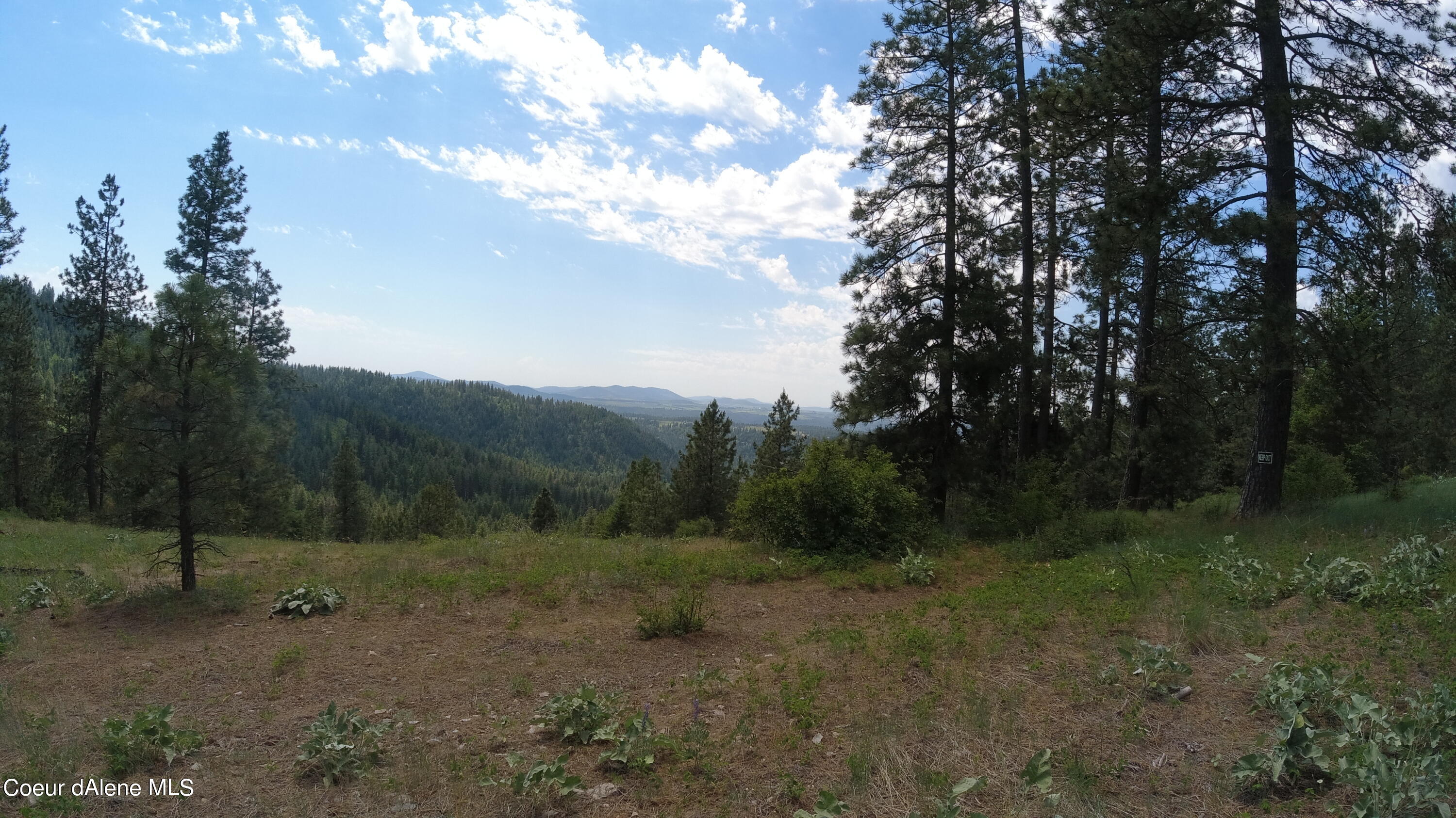 Nna East Alamo Road Harrison, ID 83833 - Photo 19 of 44 Views