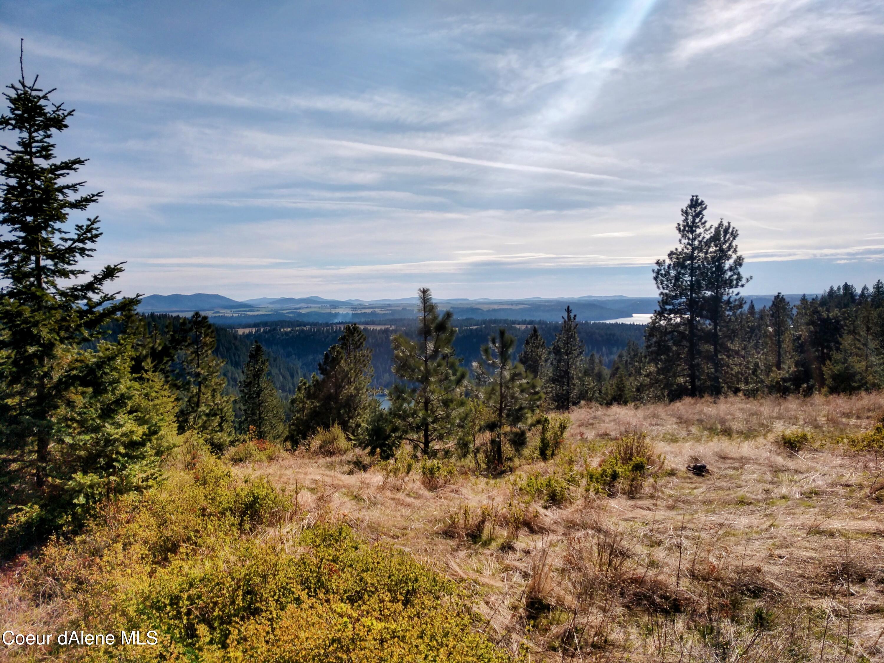 Nna East Alamo Road Harrison, ID 83833 - Photo 20 of 44 Land