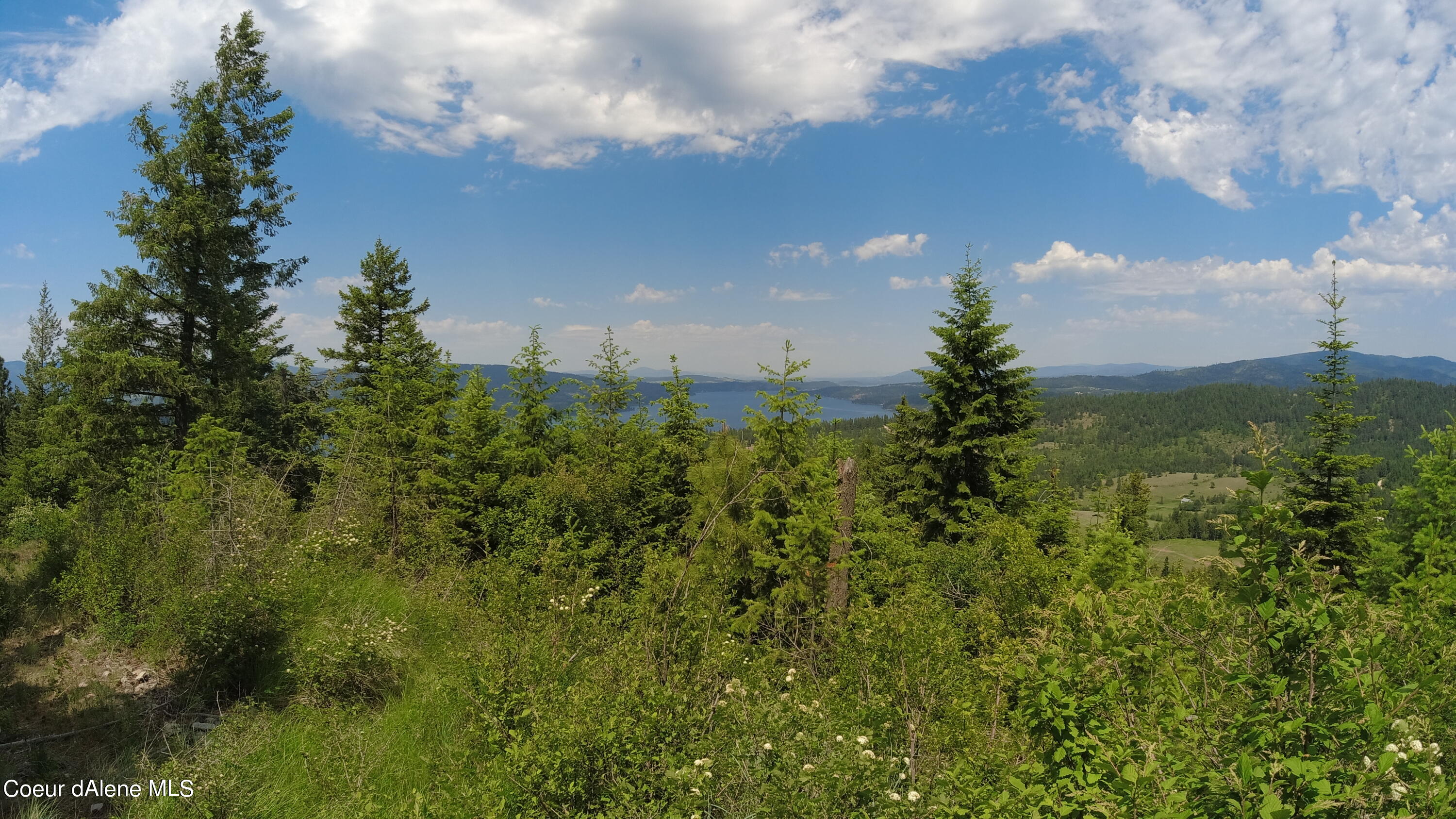 Nna East Alamo Road Harrison, ID 83833 - Photo 21 of 44 Views
