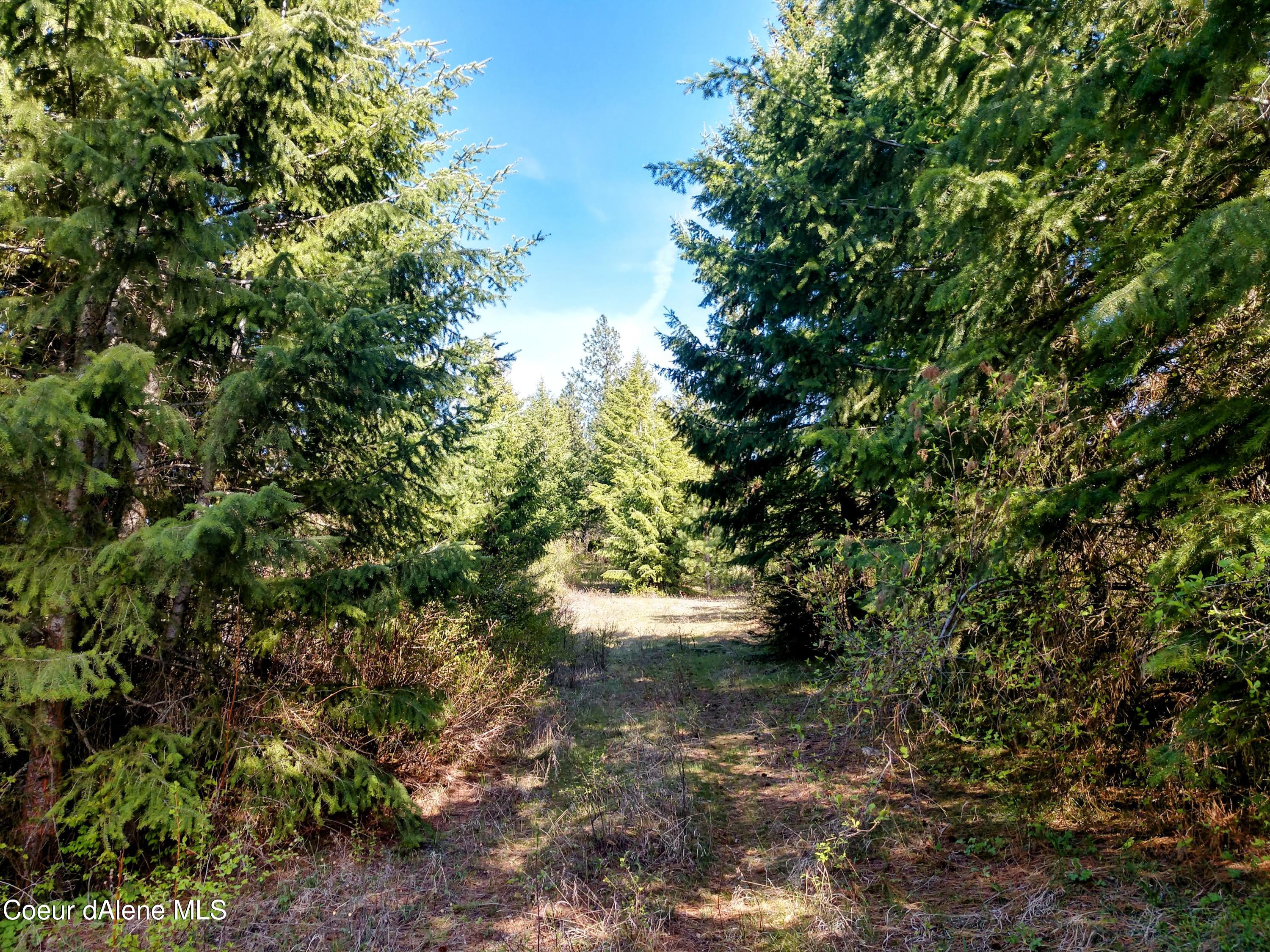 Nna East Alamo Road Harrison, ID 83833 - Photo 23 of 44 Color during seasons