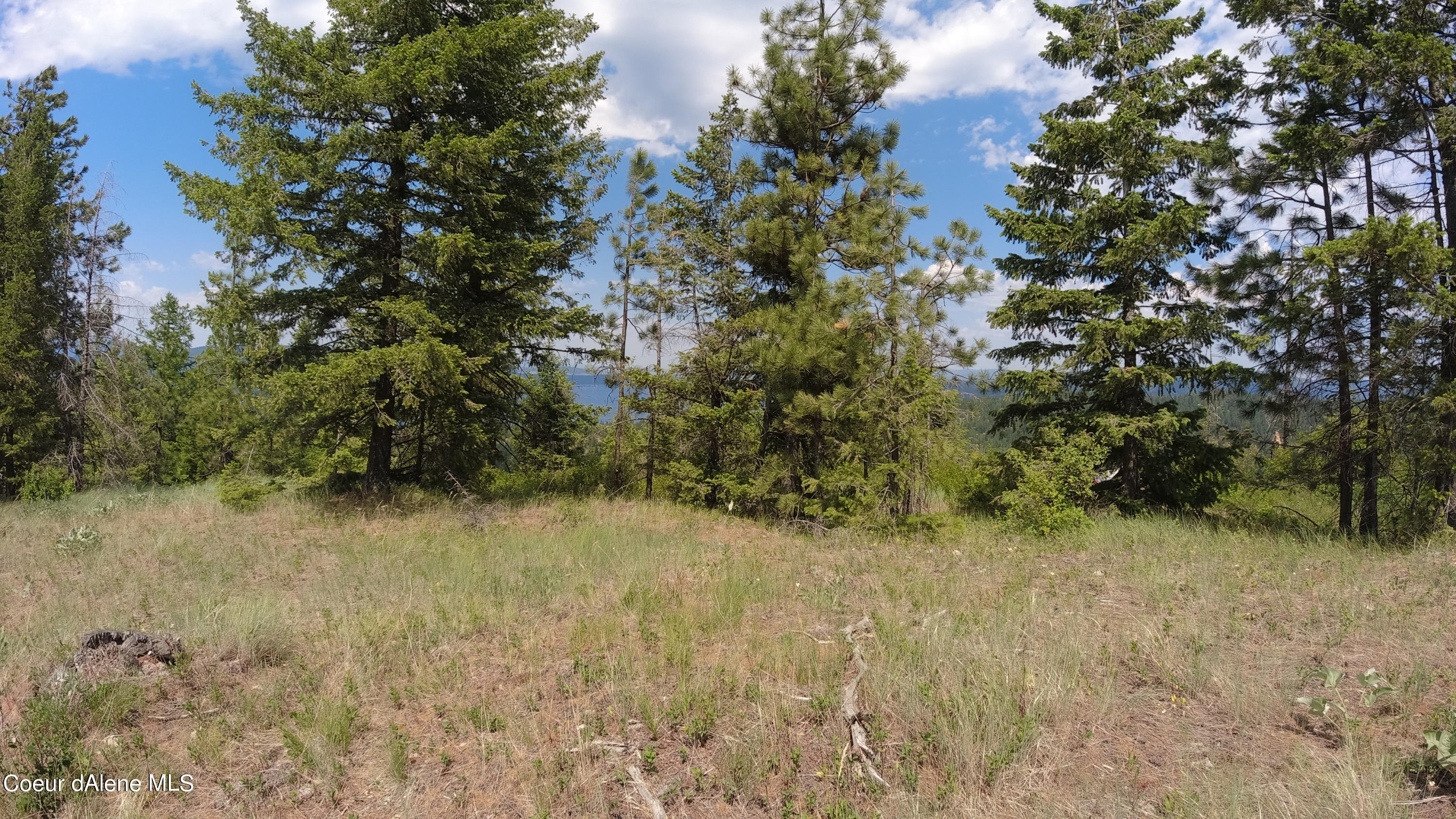 Nna East Alamo Road Harrison, ID 83833 - Photo 25 of 44 Land
