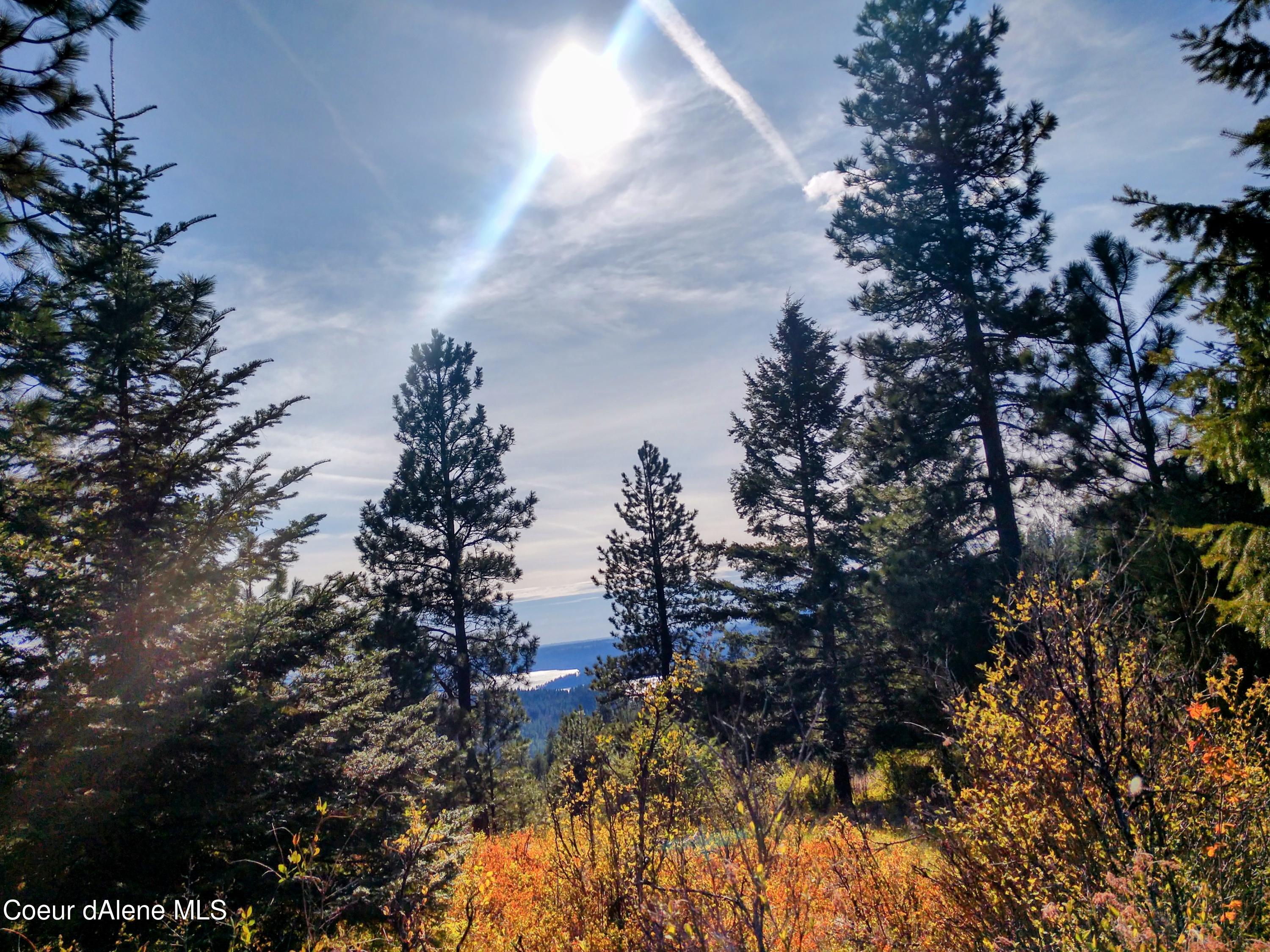 Nna East Alamo Road Harrison, ID 83833 - Photo 26 of 44 Colors during Seasons