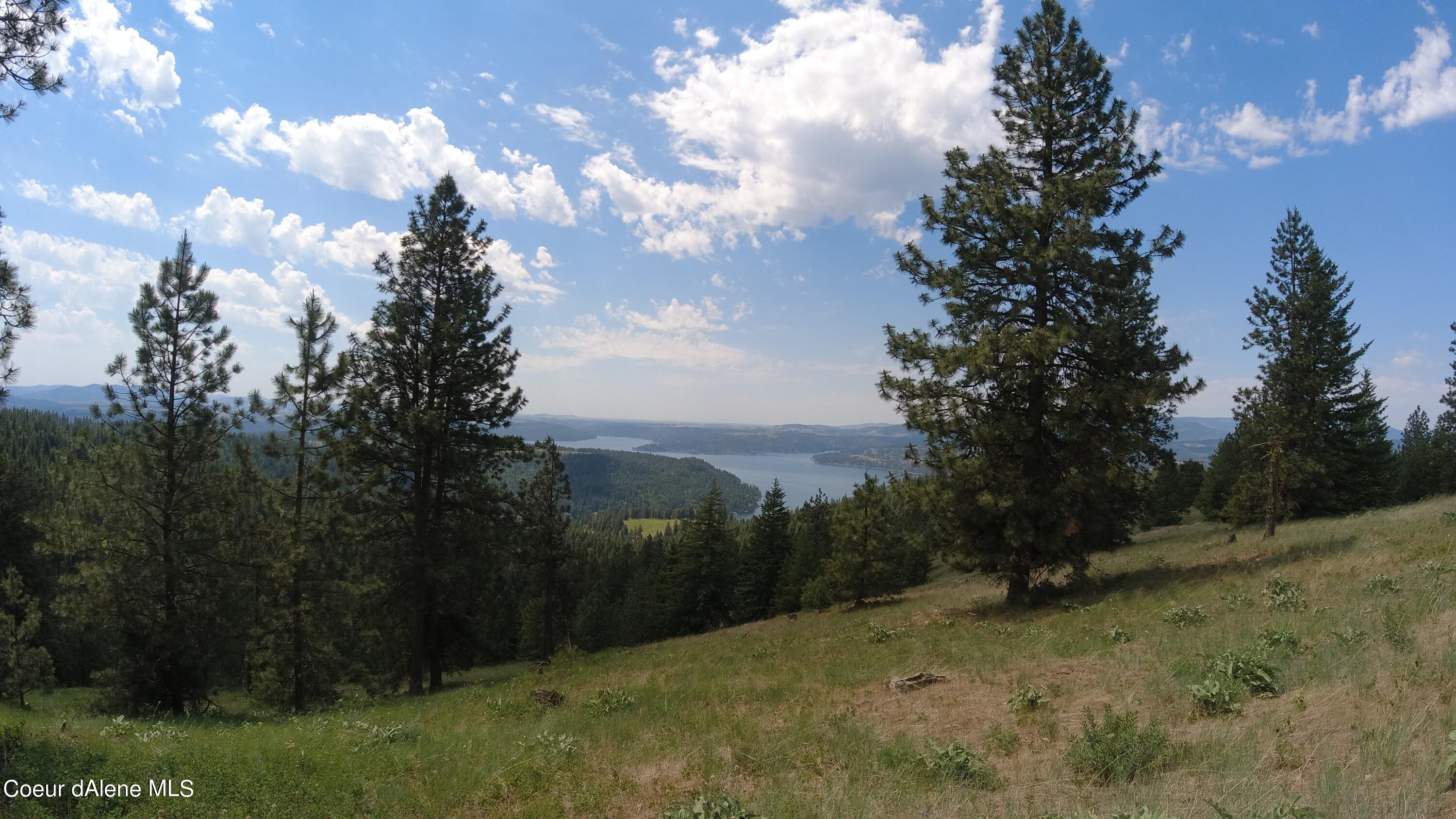 Nna East Alamo Road Harrison, ID 83833 - Photo 27 of 44 Views