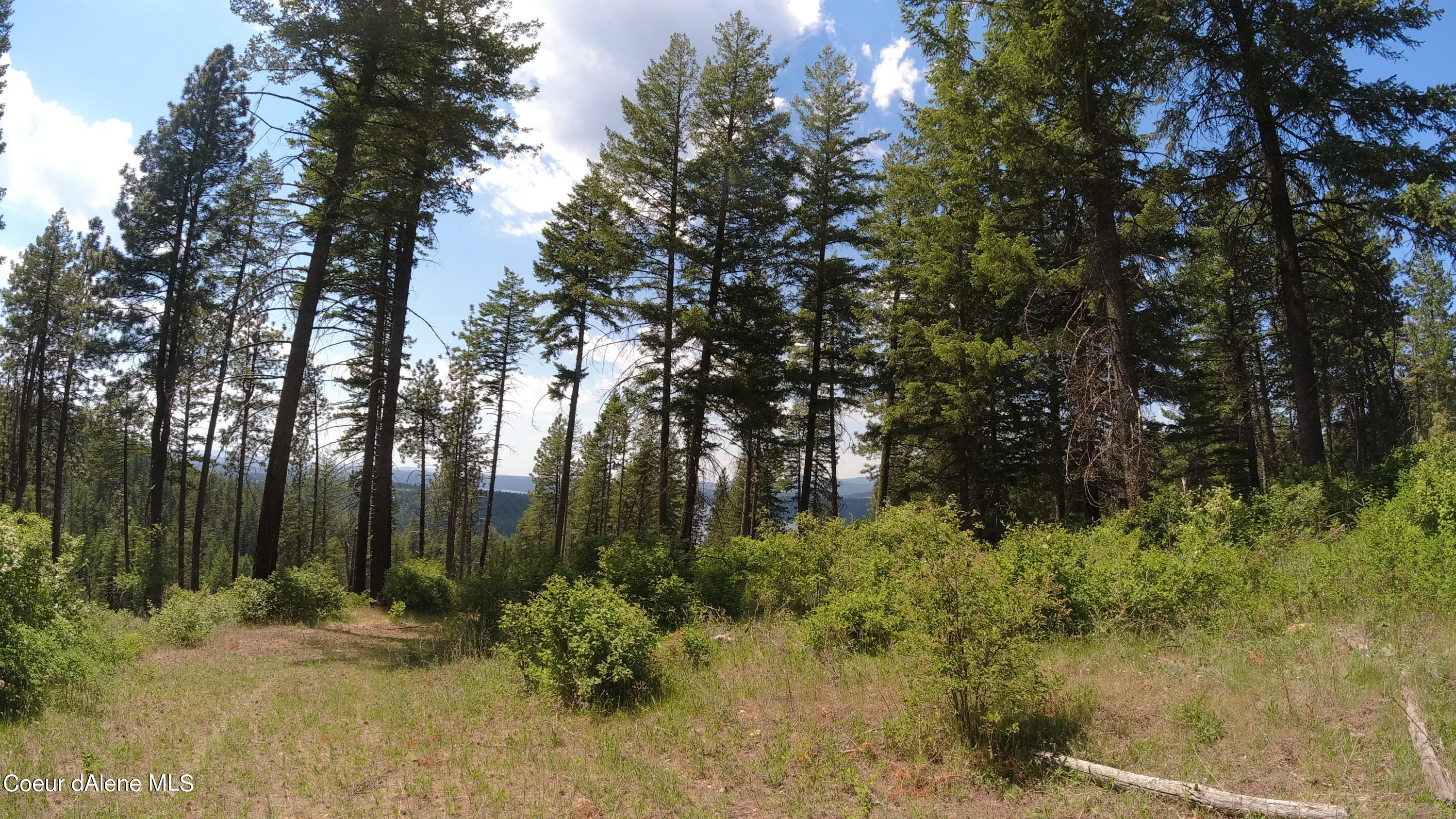 Nna East Alamo Road Harrison, ID 83833 - Photo 31 of 44 Land