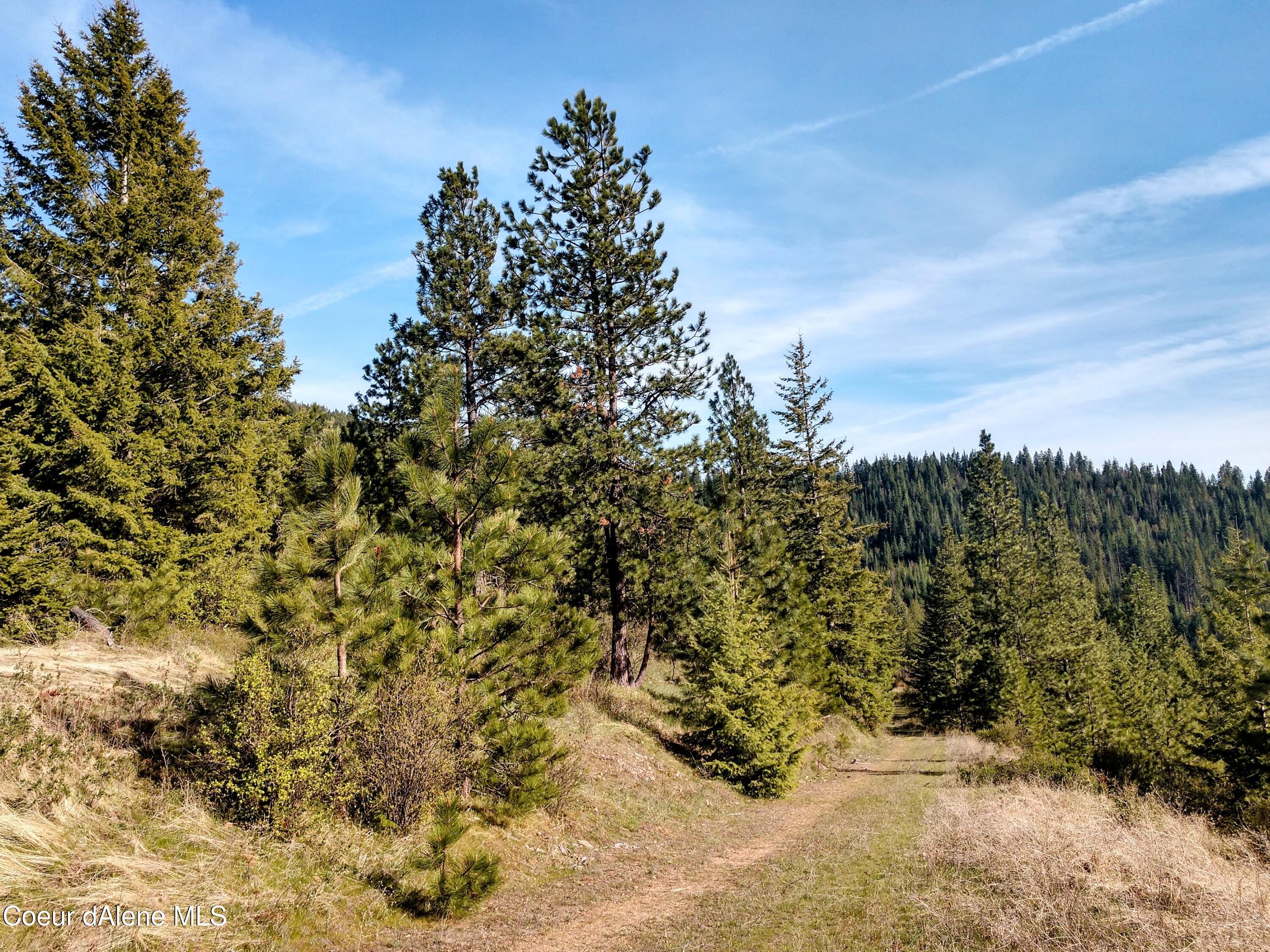 Nna East Alamo Road Harrison, ID 83833 - Photo 34 of 44 Land