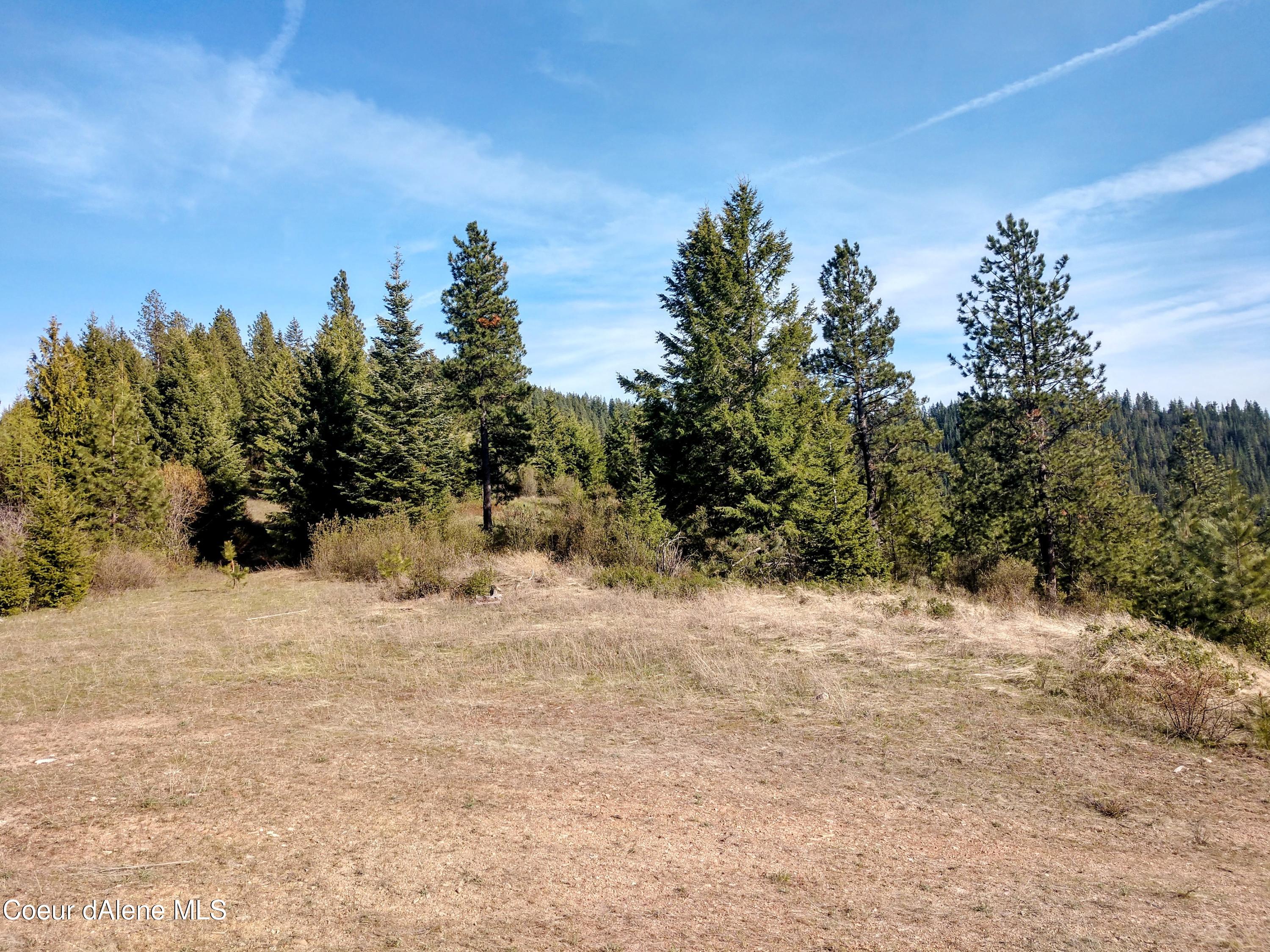 Nna East Alamo Road Harrison, ID 83833 - Photo 35 of 44 Land