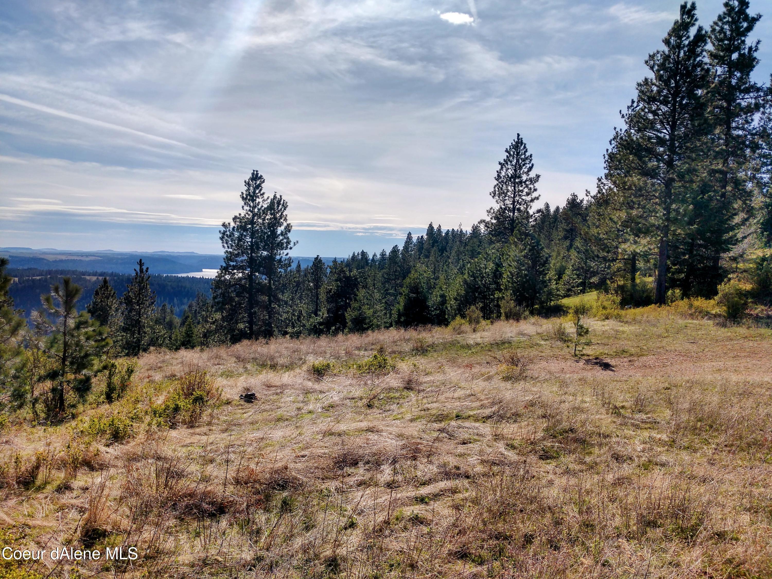 Nna East Alamo Road Harrison, ID 83833 - Photo 37 of 44 Land