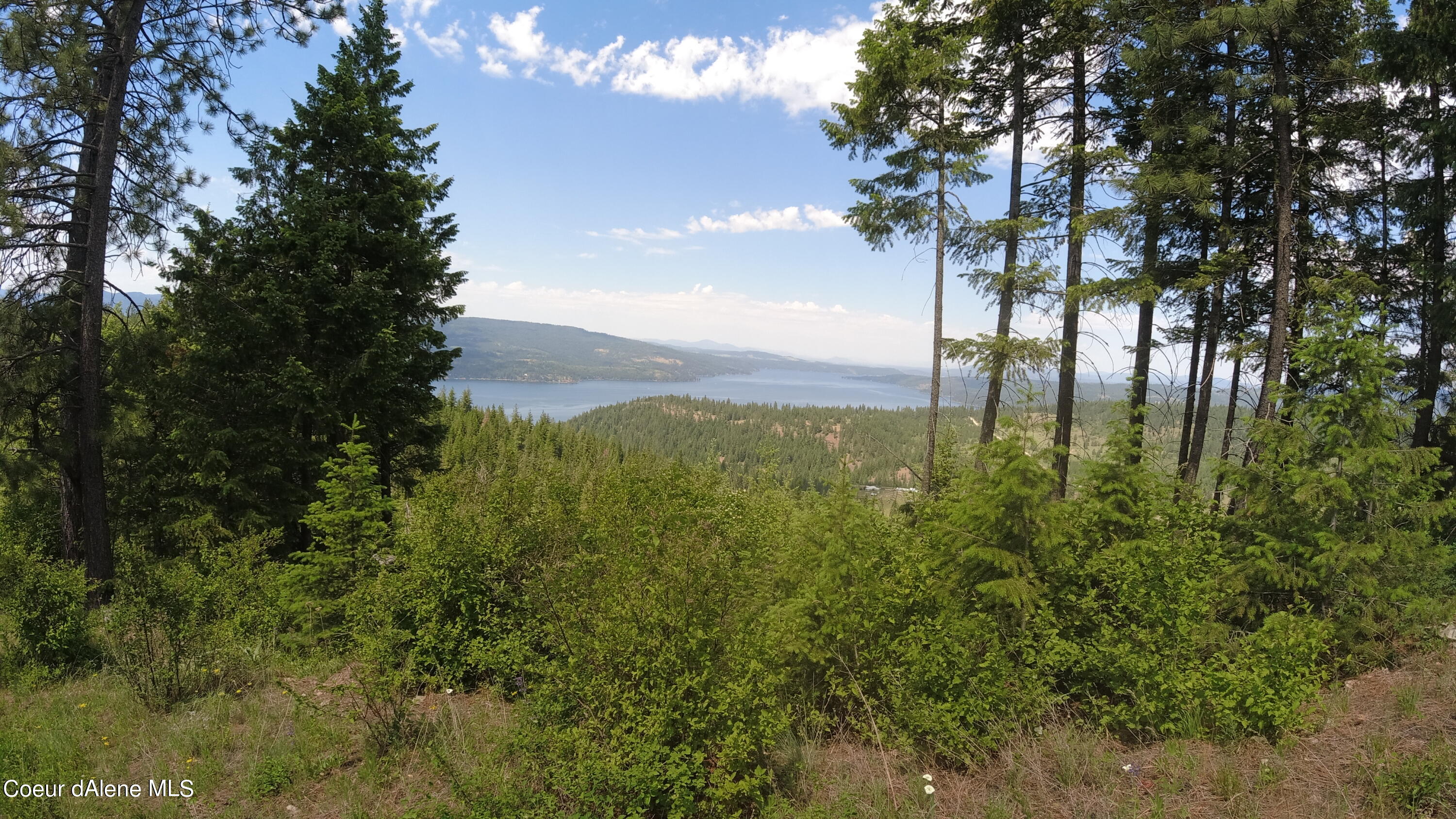 Nna East Alamo Road Harrison, ID 83833 - Photo 4 of 44 Views