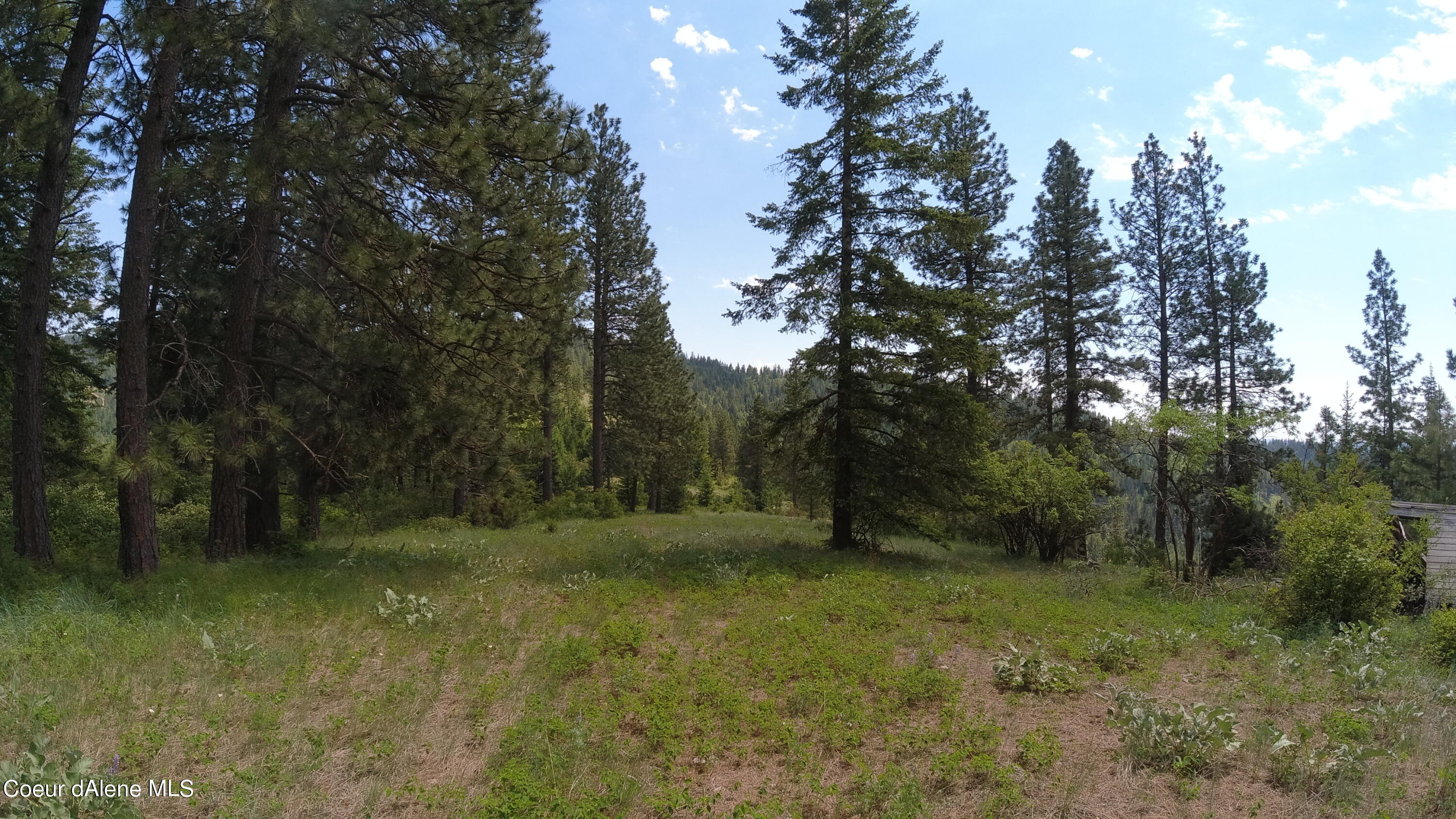 Nna East Alamo Road Harrison, ID 83833 - Photo 7 of 44 Land