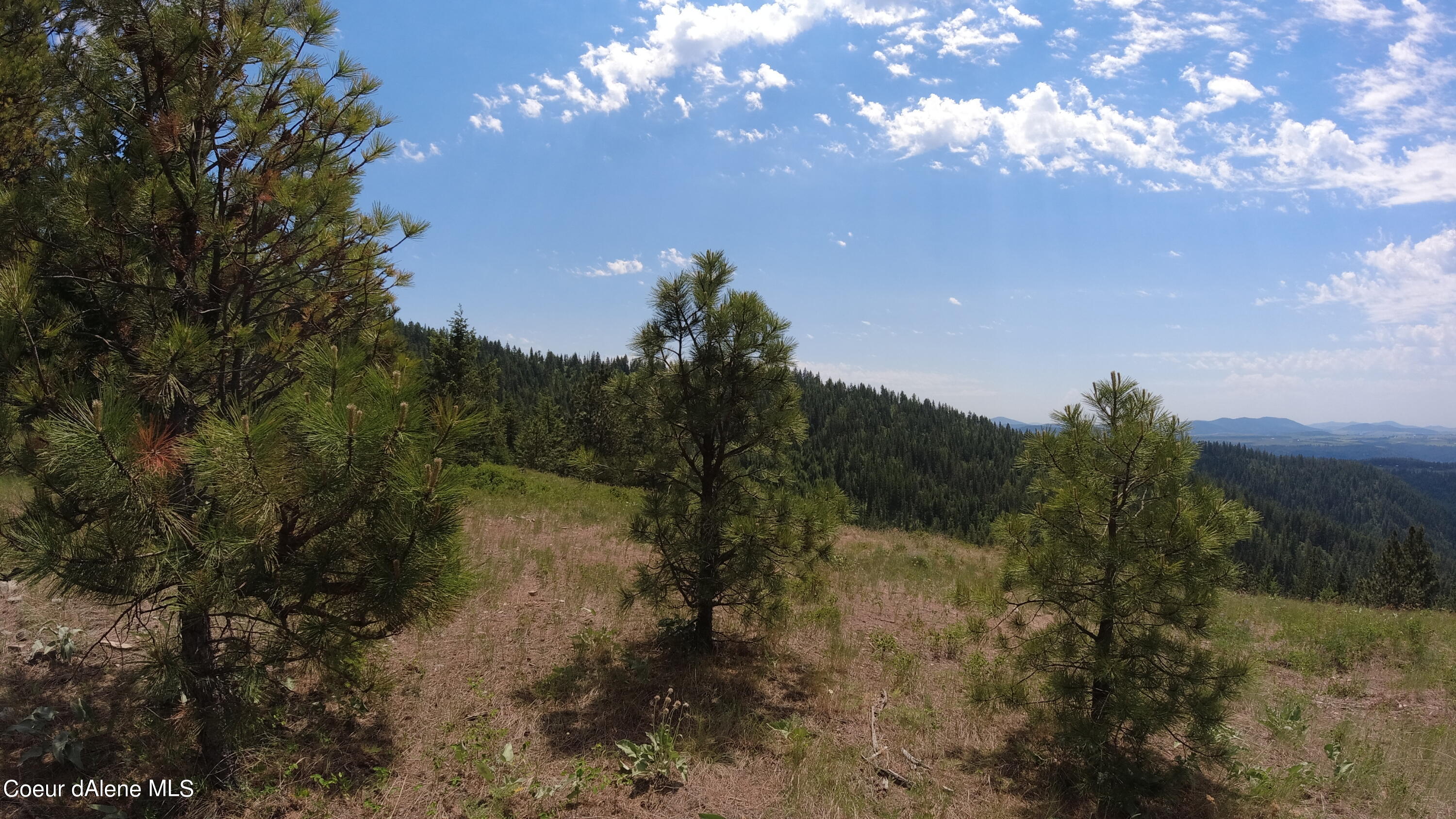 Nna East Alamo Road Harrison, ID 83833 - Photo 10 of 44 Land