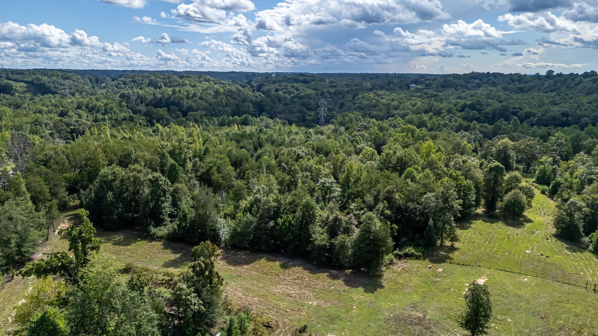 0 Pacolet Highway Pacolet, SC 29372 - Photo 4 of 9