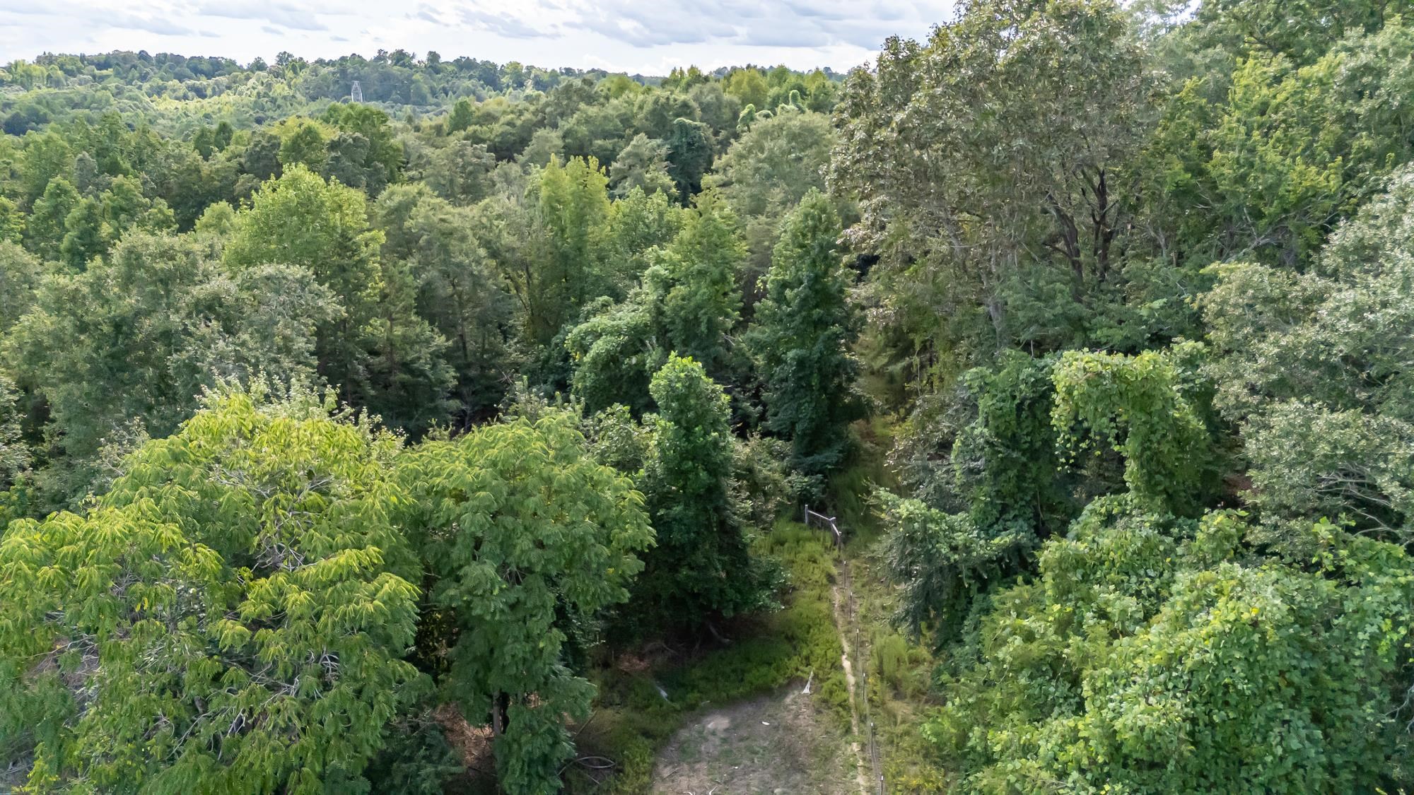 0 Pacolet Highway Pacolet, SC 29372 - Photo 8 of 9