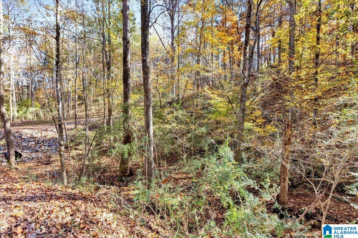 0 Hammock Road Trussville, AL 35173 - Photo 4 of 31
