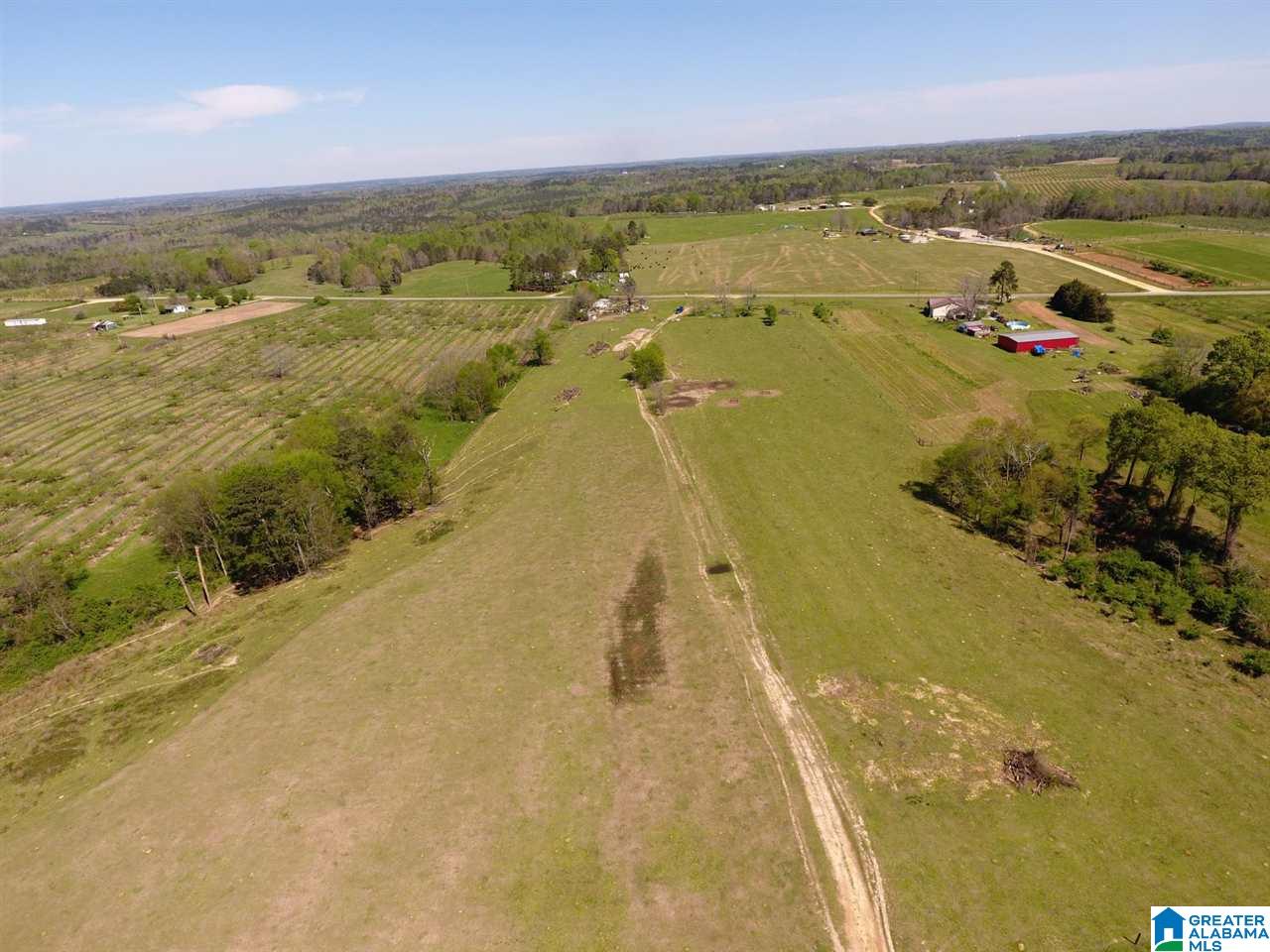 0 County Road 30, Unit 1 Clanton, AL 35045 - Photo 28 of 32