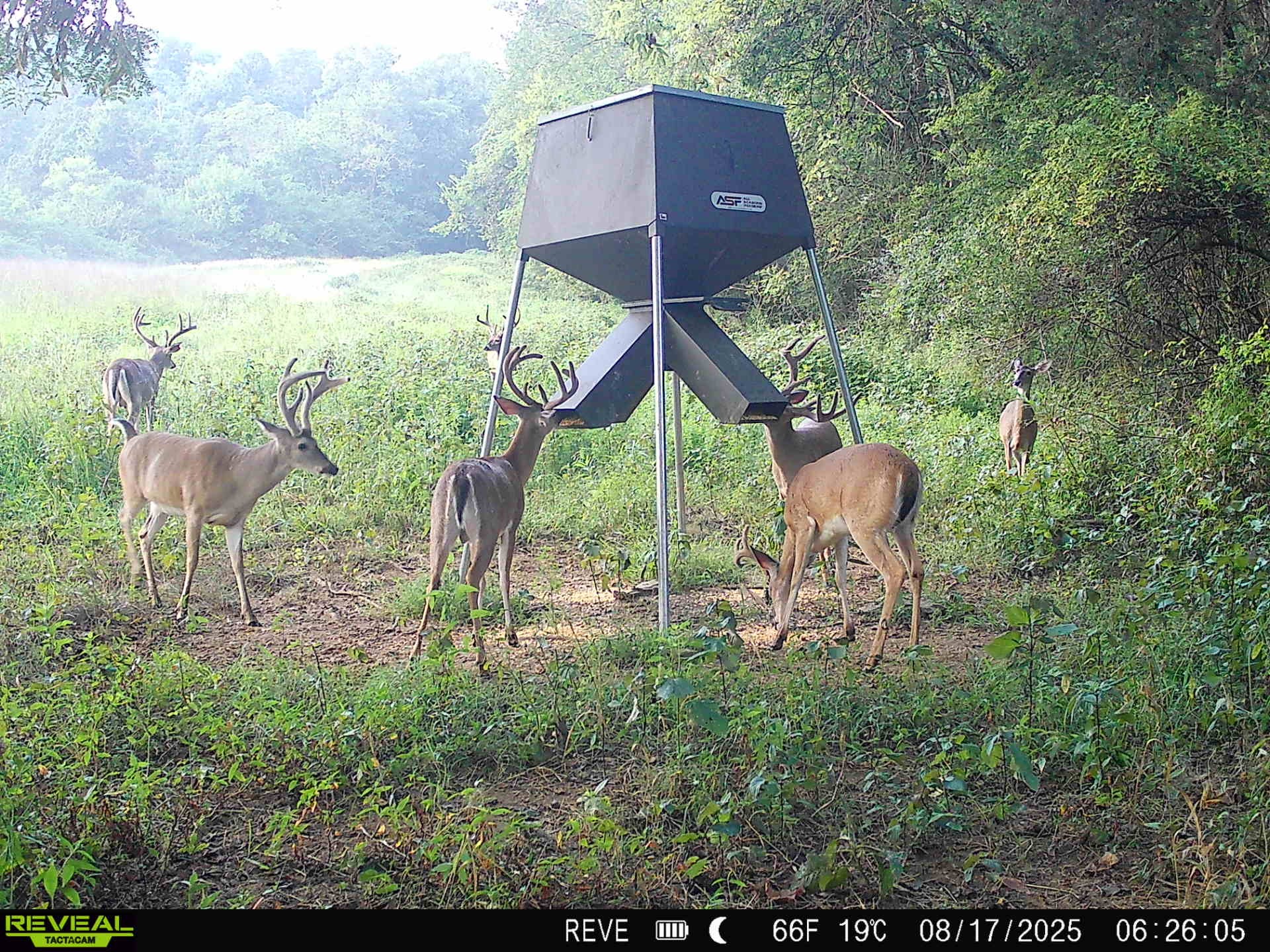 0 Sorrells Road Petersburg, TN 37144 - Photo 28 of 44 Gallery Image 28