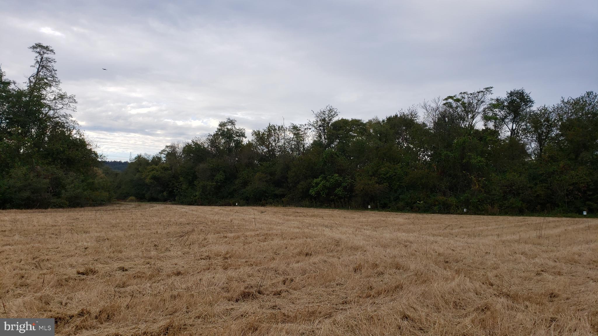 2858 Toby Frederick, MD 21703 - Photo 2 of 6 View of Lot 5 looking north