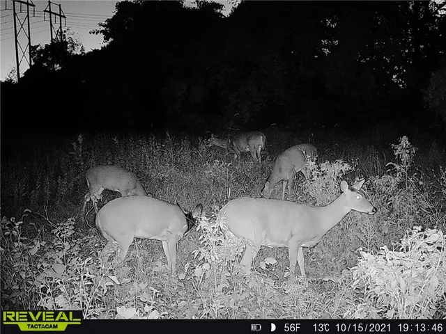 $950,000 | 24101 East 235th Street, Harrisonville, MO 64701