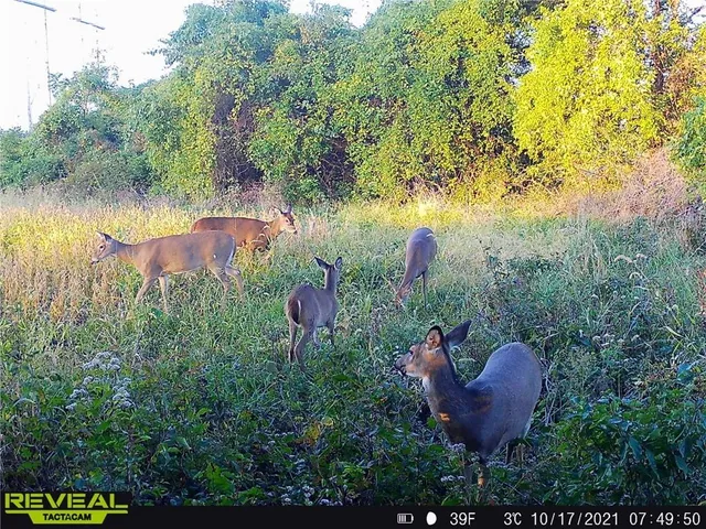 $950,000 | 24101 East 235th Street, Harrisonville, MO 64701