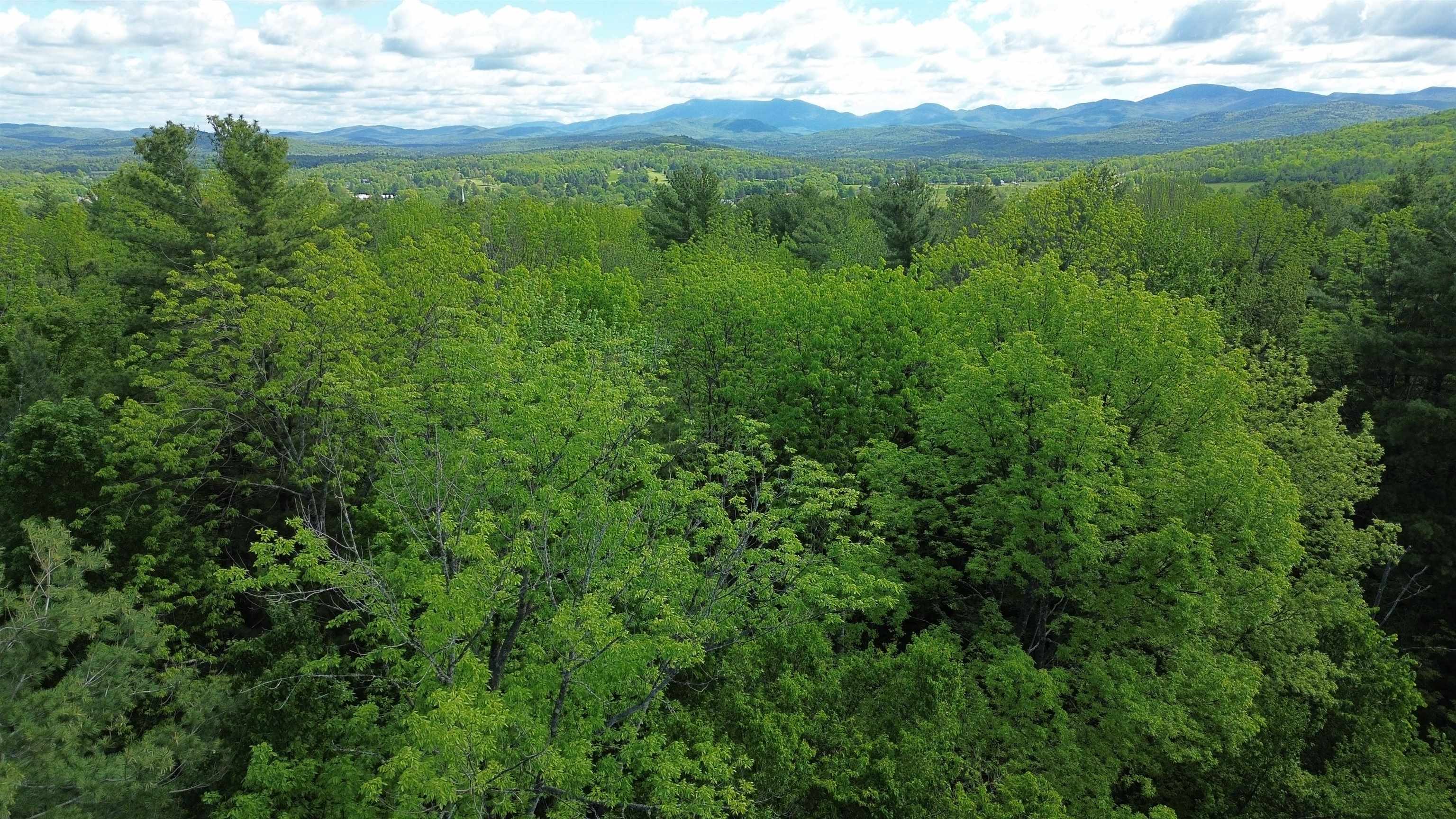 450 Oak Hill Road Williston, VT 05495 - Photo 10 of 16