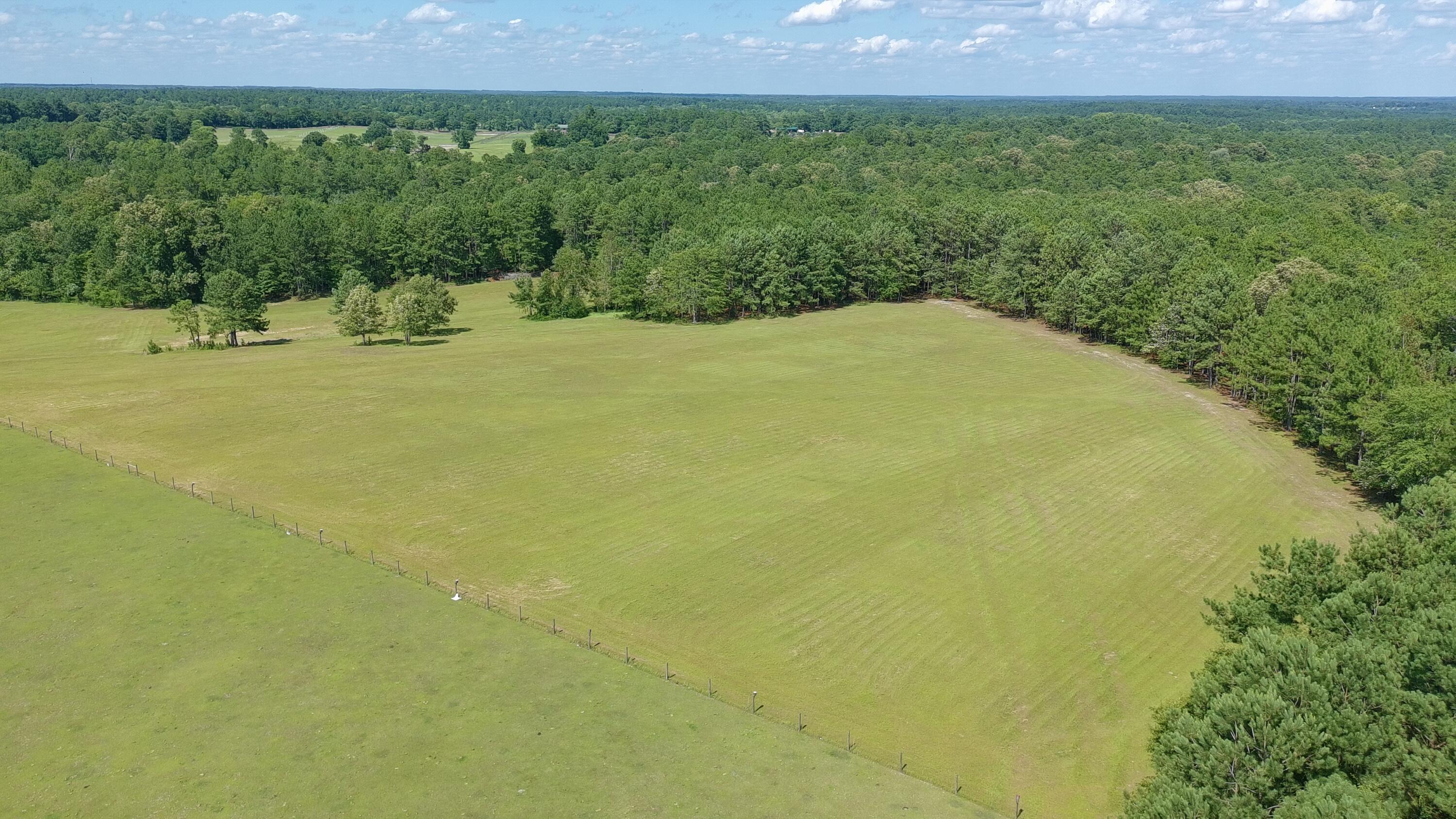 41-acres Whiskey Road Aiken, SC 29803 - Photo 6 of 44