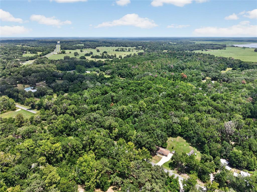 5725 Northwest 219th Street Road Micanopy, FL 32667 - Photo 8 of 17