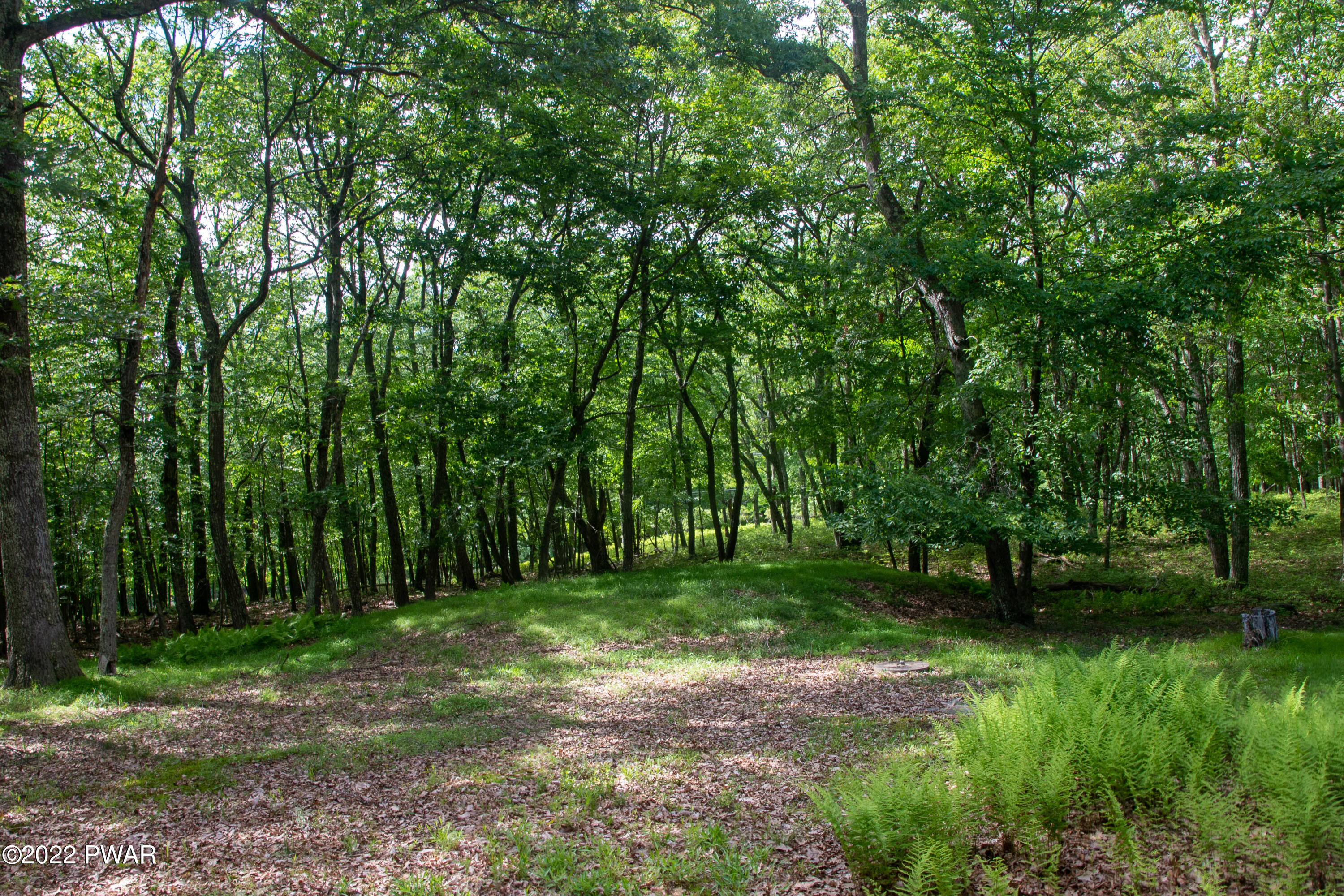 375 Mallard Lane Bushkill, PA 18324 - Photo 25 of 28 a view of a yard with a trees
