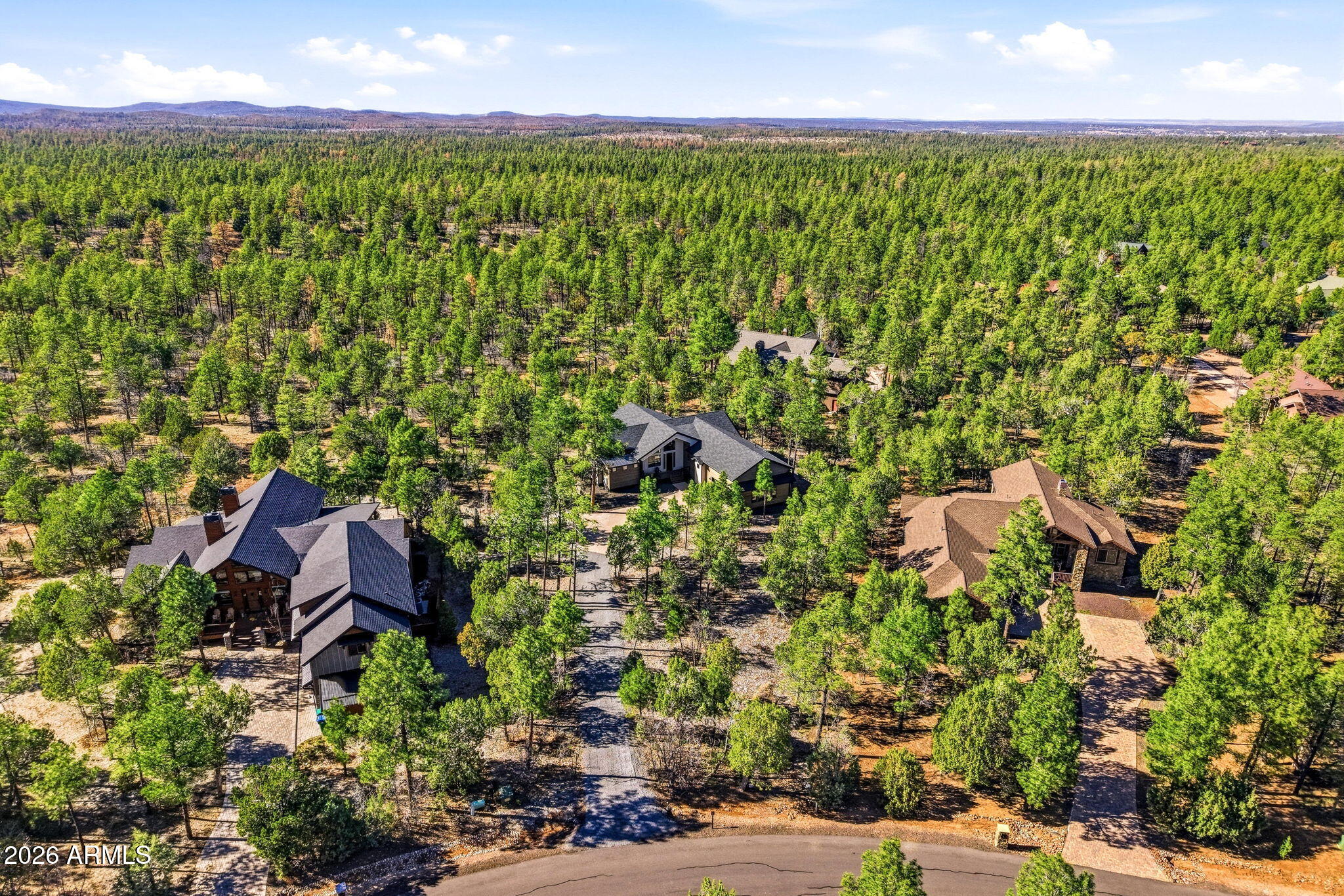 1900 South Monkshood Road Show Low, AZ 85901 - Photo 38 of 49 Aerial View