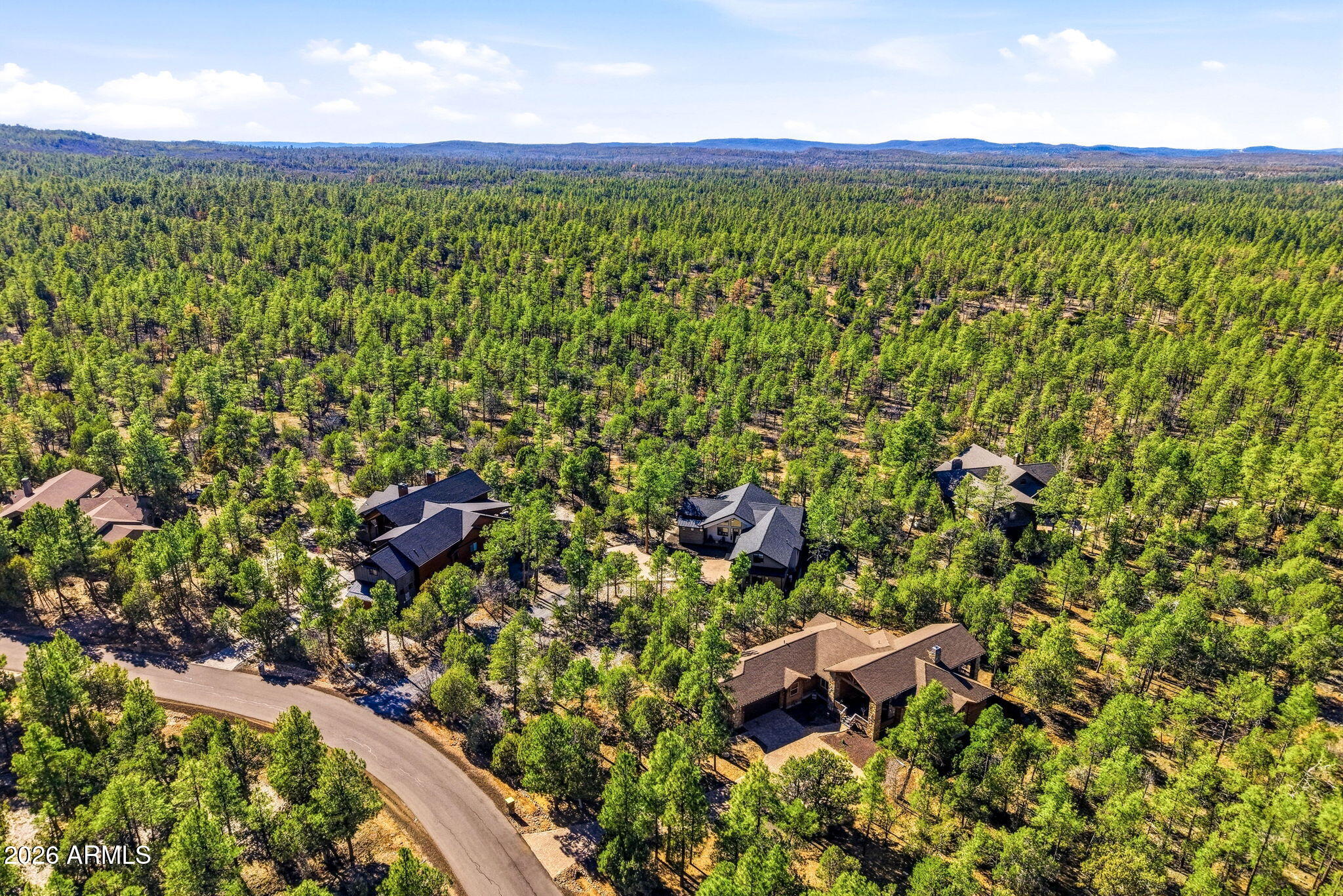1900 South Monkshood Road Show Low, AZ 85901 - Photo 39 of 49 Aerial View