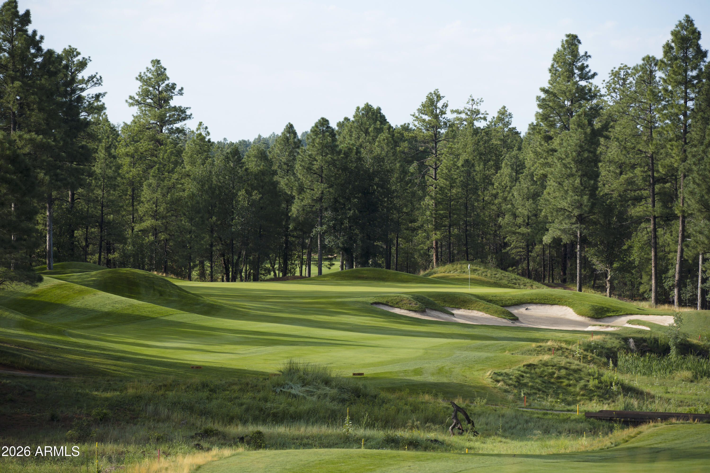 1900 South Monkshood Road Show Low, AZ 85901 - Photo 44 of 49 Golf Course