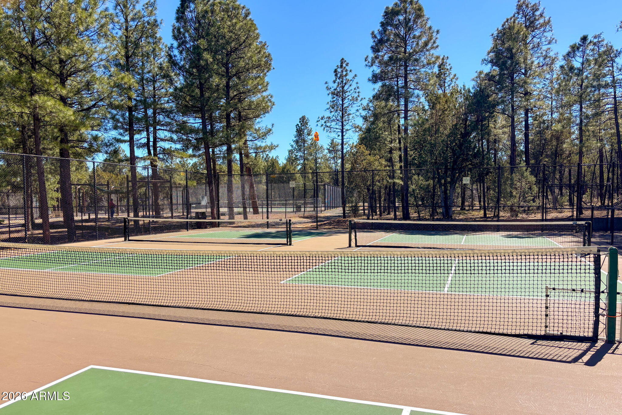1900 South Monkshood Road Show Low, AZ 85901 - Photo 48 of 49 Pickleball