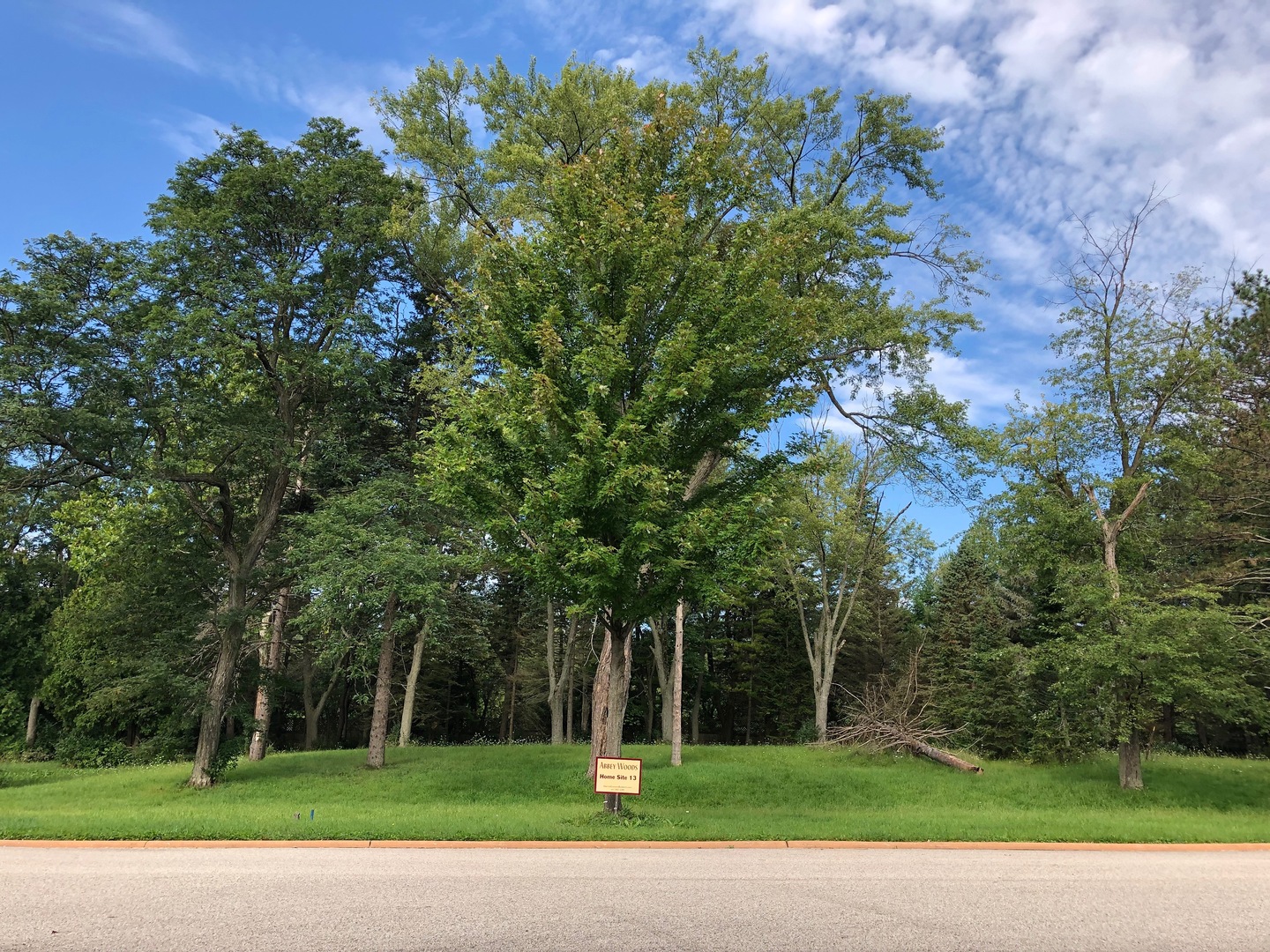 Lot 13 Abbey Woods Drive, Barrington Hills, IL 60010 Compass