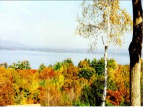 2393 Lakeshore Road, Unit 31 Gilford, NH 03249 - Photo 3 of 3