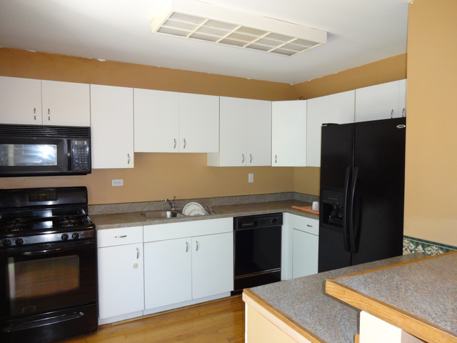7317 Trent Road Downers Grove, IL 60516 - Photo 11 of 21