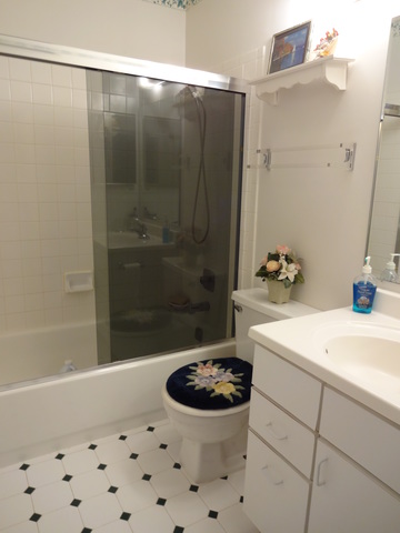 7317 Trent Road Downers Grove, IL 60516 - Photo 17 of 21