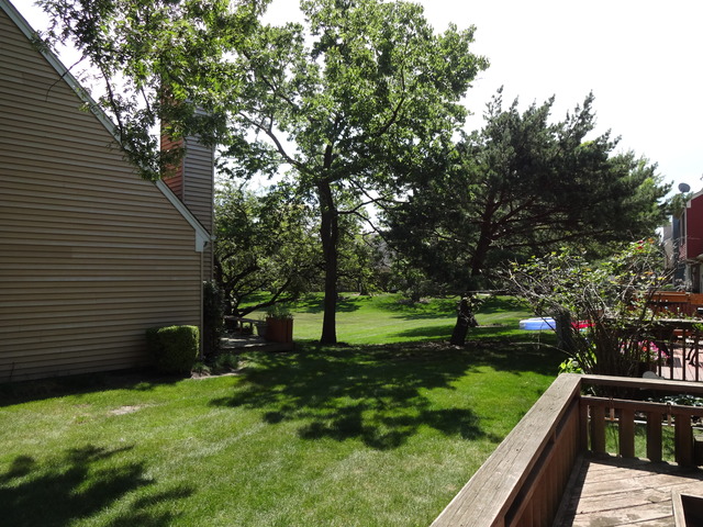 7317 Trent Road Downers Grove, IL 60516 - Photo 20 of 21