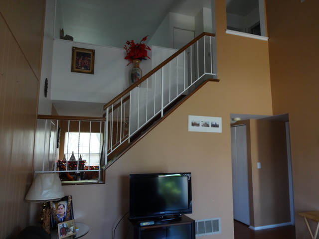 7317 Trent Road Downers Grove, IL 60516 - Photo 7 of 21