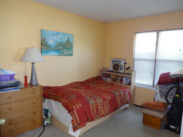 7317 Trent Road Downers Grove, IL 60516 - Photo 8 of 21