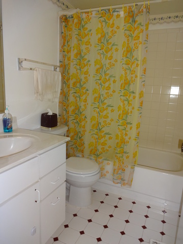 7317 Trent Road Downers Grove, IL 60516 - Photo 9 of 21